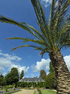 Botanischer Garten in Rouen