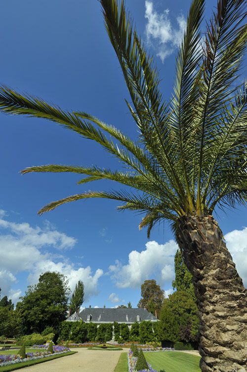 Botanischer Garten in Rouen